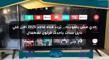 «دي مش بتفوت».. تردد قناة ماجد 2025 الآن على نايل سات بأحدث كرتون للأطفال